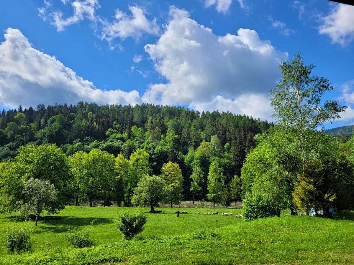 Domki U Gretka Lutowiska Luaran gambar